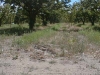 Phase2final-003.jpg