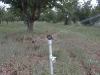 Phase2final-004.jpg
