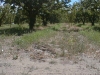 Phase2final-008.jpg
