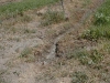 Phase2final-009.jpg