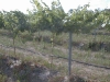 Phase2final-010.jpg