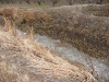 Phase2final-018.jpg